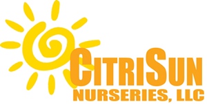 CitriSun Nurseries